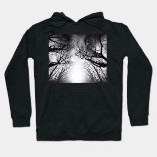 Whispering Trees Silhouette in Mist Hoodie